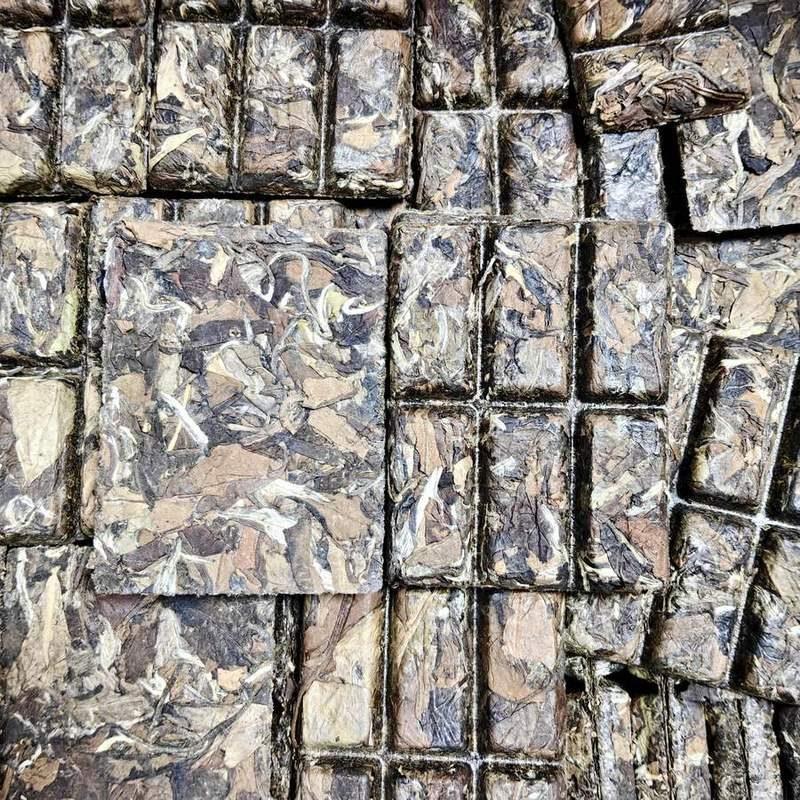 福鼎老白茶 小方砖 一块一泡