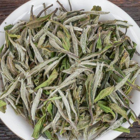 管阳荒野白牡丹