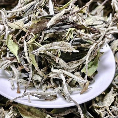 野韵荒野白牡丹管阳高山