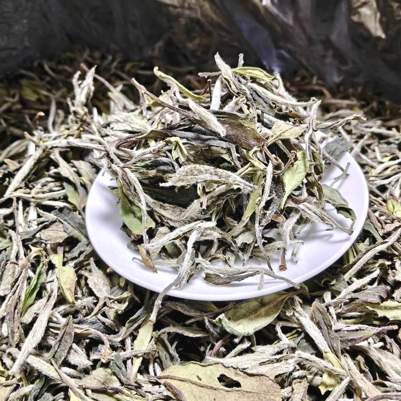 野韵荒野白牡丹管阳高山