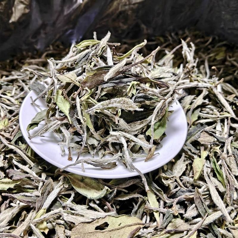 野韵荒野白牡丹管阳高山