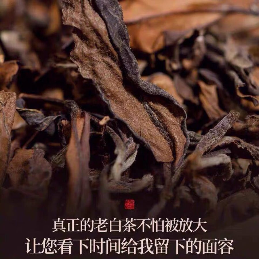 福鼎老白茶寿眉贡眉陈年老白茶药香枣香口粮好茶散装礼盒装
