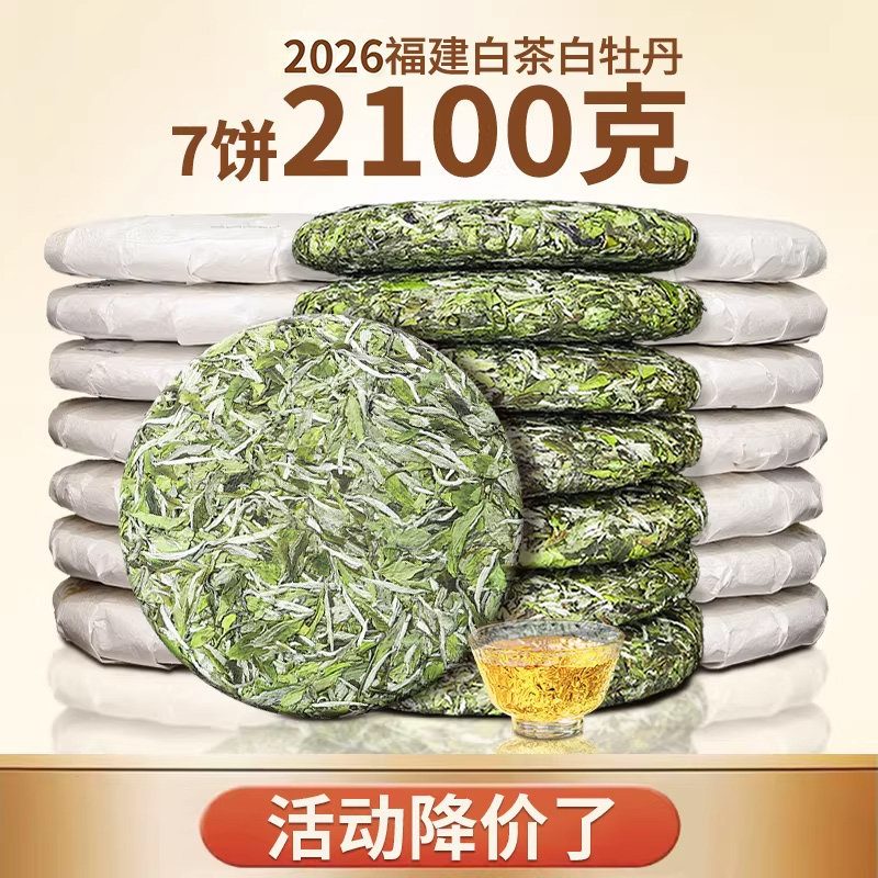 福鼎白牡丹高山大白茶花香荒野早春太姥山脉茶饼7饼